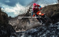 乐竞体育官网-太阳主场战胜黄蜂，克里斯表现抢眼，太阳客场胜率